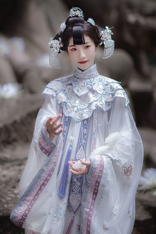 Embroidery Long Coat Horse Noodles Hanfu Dress