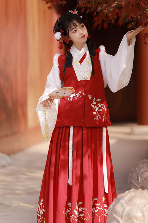 Chinese Ancient Style Collocation Waistcoat Sweet Hanfu Dress