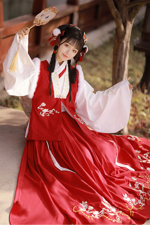 Chinese Ancient Style Collocation Waistcoat Sweet Hanfu Dress