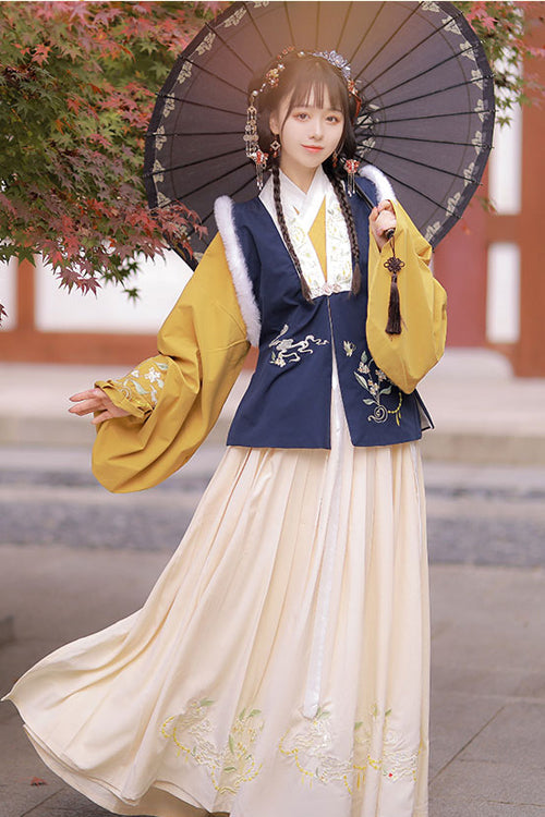 Chinese Ancient Style Collocation Waistcoat Sweet Hanfu Dress