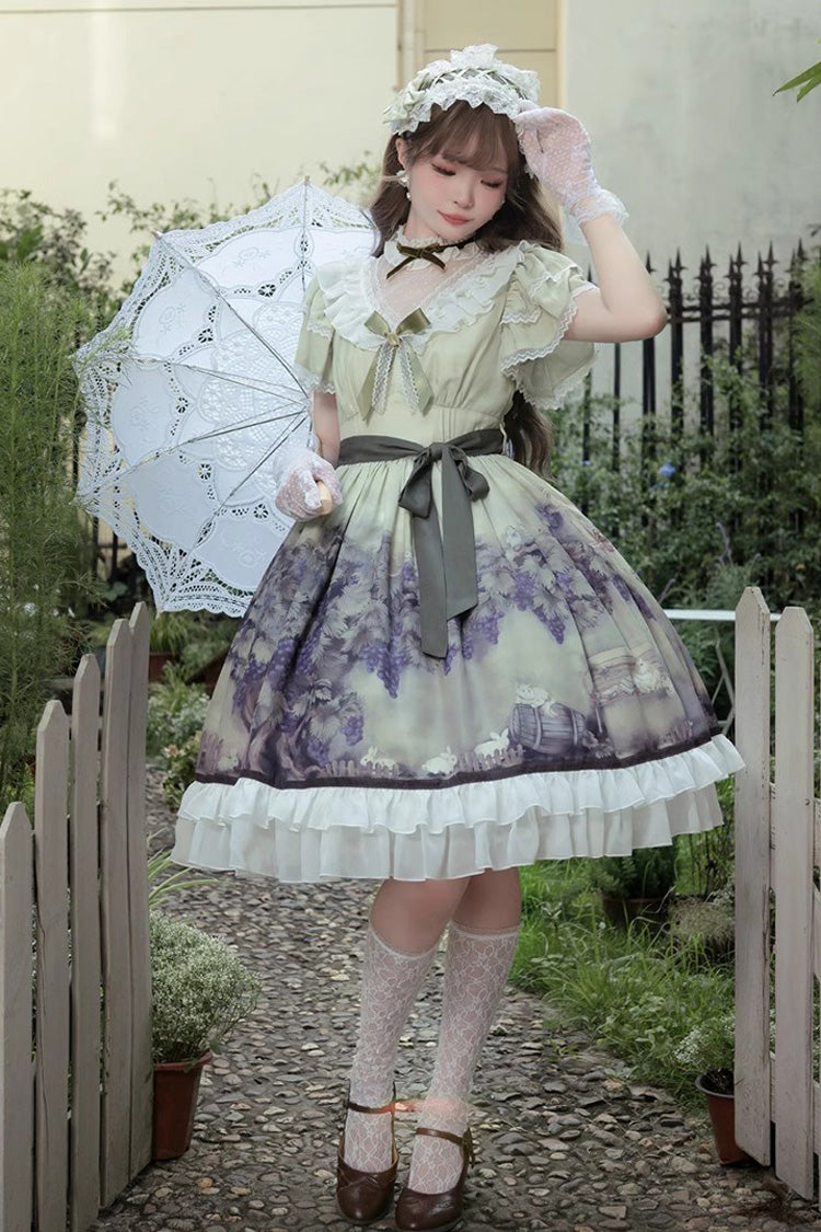 Gothic Lolita Dress - Multi-Color, Ruffled, Printed, Sweet Style - additional product view 7