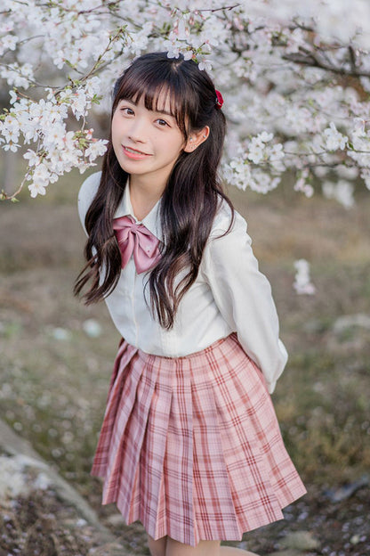 Gothic Lolita Skirt - College Style Plaid Stripe, Pink, Pleated, Plaid, Striped - additional product view 5